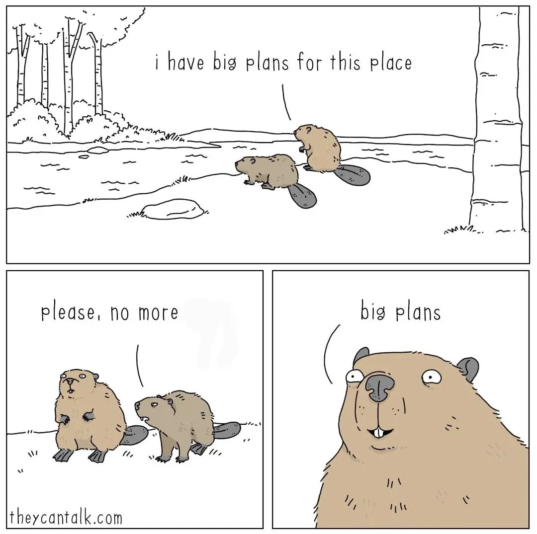 Big plans for this code beaver meme